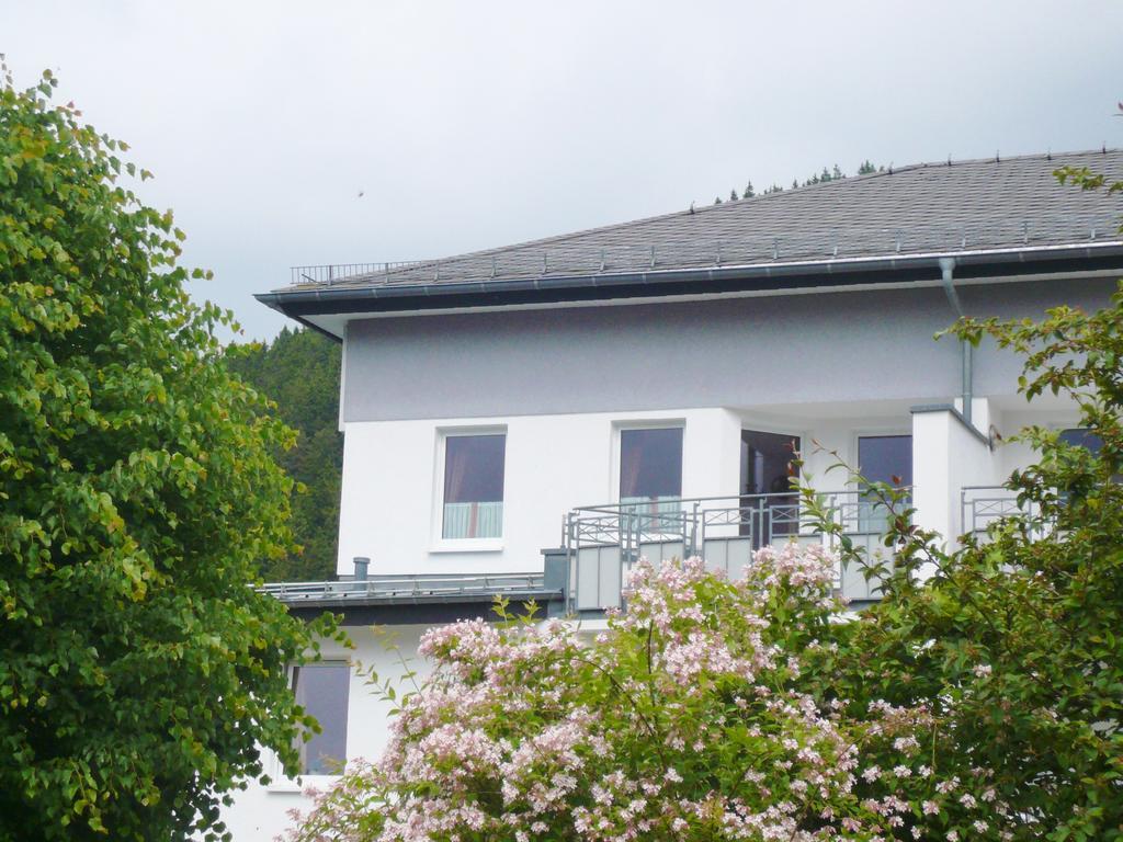 Fewo Penthaus-Blick Willingen  Exterior photo